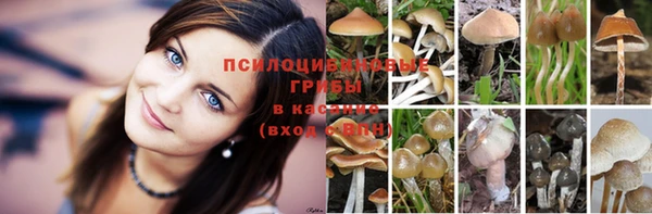 мефедрон мука Армянск
