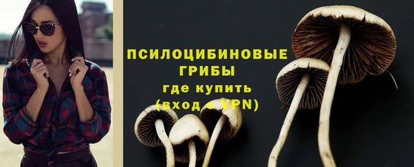 амф Сафоново
